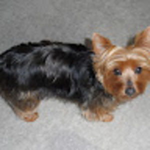 Meet your Posher, Kelley